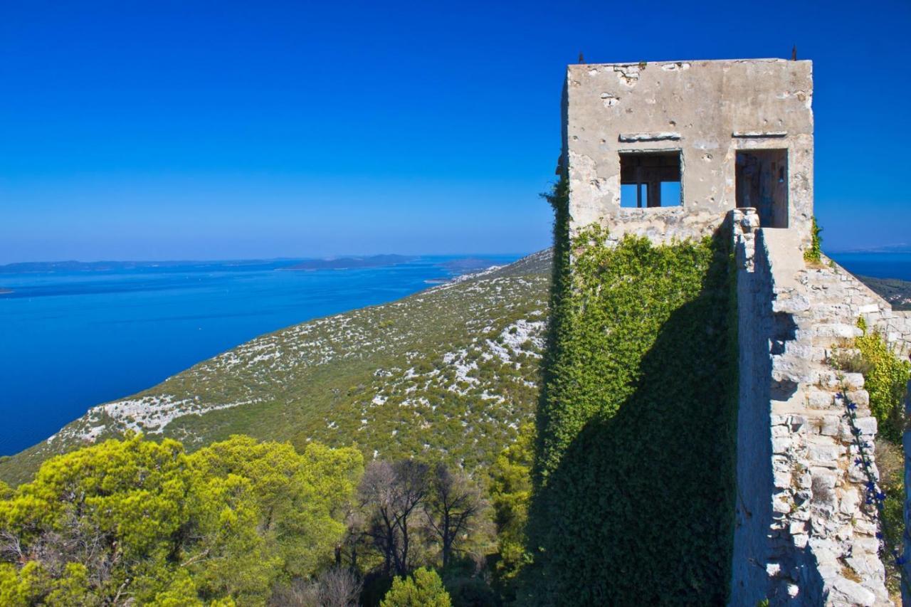 Studio Apartment In Preko With Sea View, Terrace, Air Conditioning, Wi-Fi エクステリア 写真